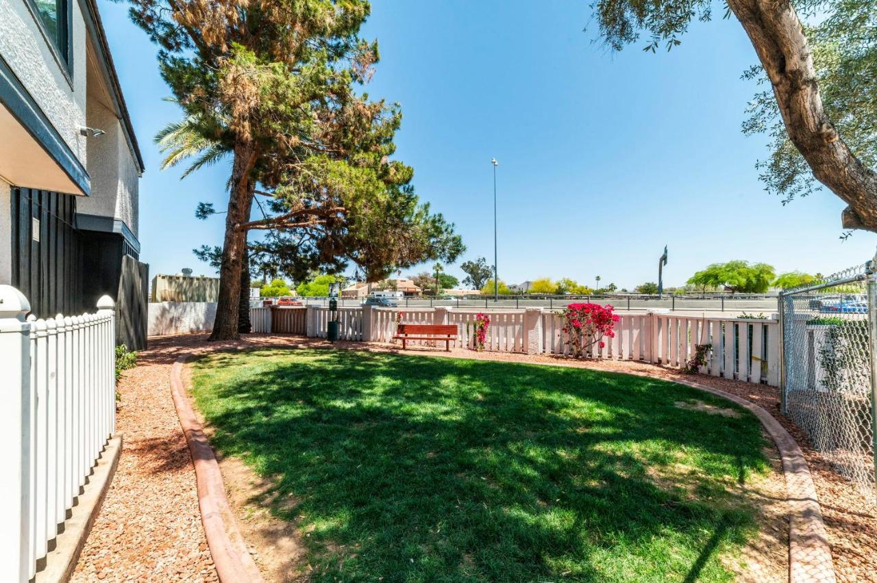 Metro Phx Downstairs Studio Sleeps 4 Ada Accessible فينيكس المظهر الخارجي الصورة